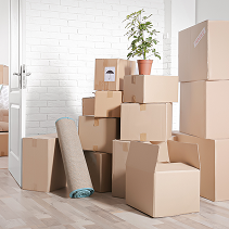 Downsizing & Life Transitions